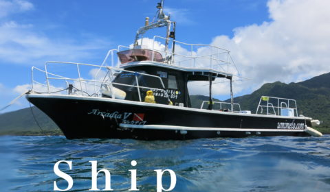 ダイビング船 海のメロディーのダイビング船